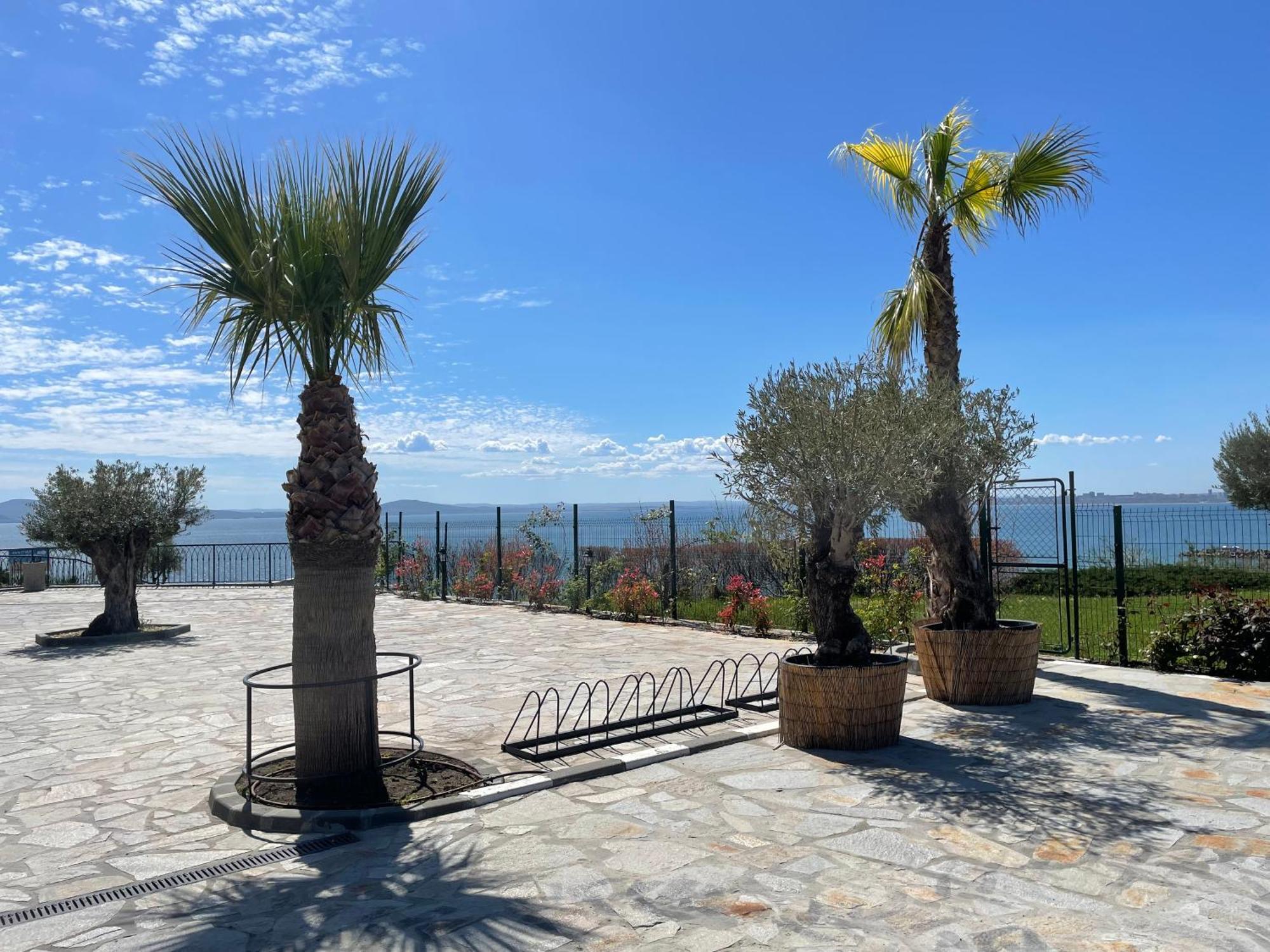 Apartment Lion1, Schwarzmeertraum, Stilvoll, 7 Minuten Zum Strand, Wlan Gratis