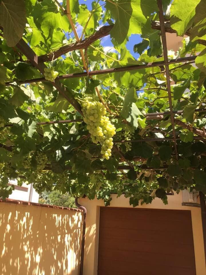 Apartment Lion1, Schwarzmeertraum, Stilvoll, 7 Minuten Zum Strand, Wlan Gratis Burgas City
